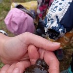 phoca_thumb_m_kytiky a ba 13 Fotogalerie